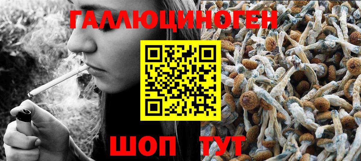 цена   Вход с VPN  Домодедово  Галлюциногенные грибы MAGIC MUSHROOMS 