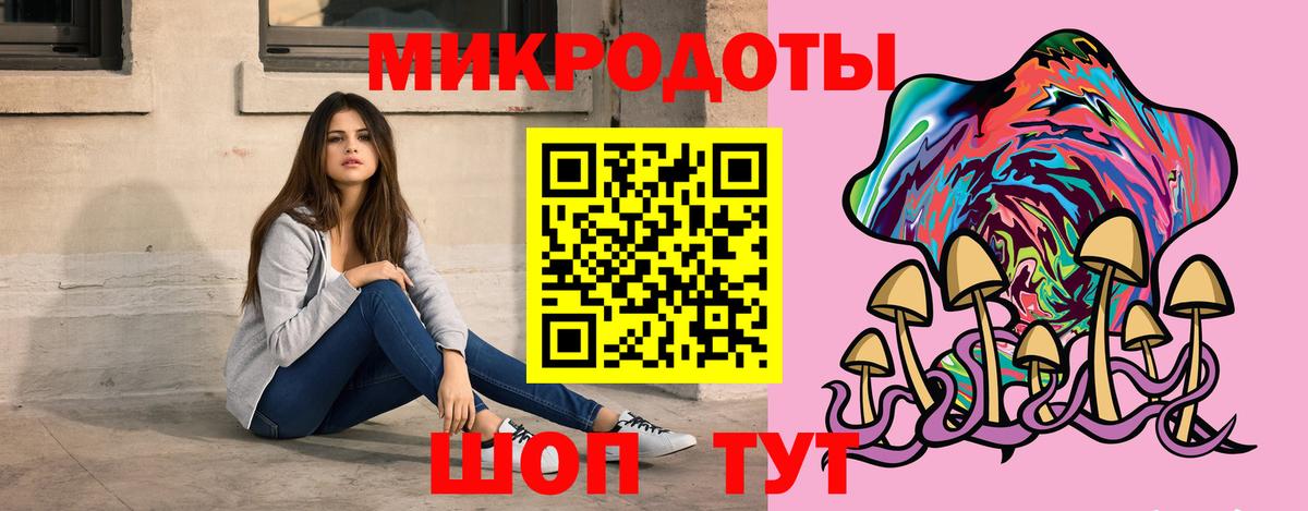 Галлюциногенные грибы Psilocybe Домодедово